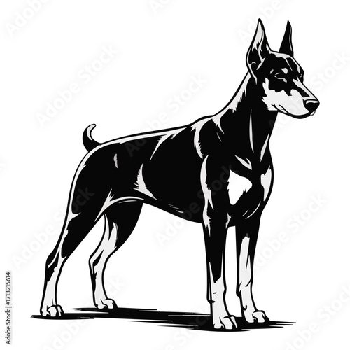 Black silhouette of a doberman pinscher dog standing alert