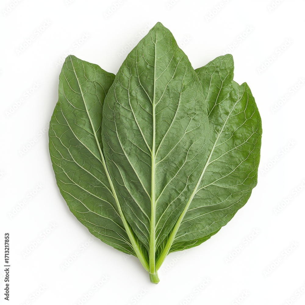 Obraz premium Fresh green collard greens with vibrant leaves on a white background.