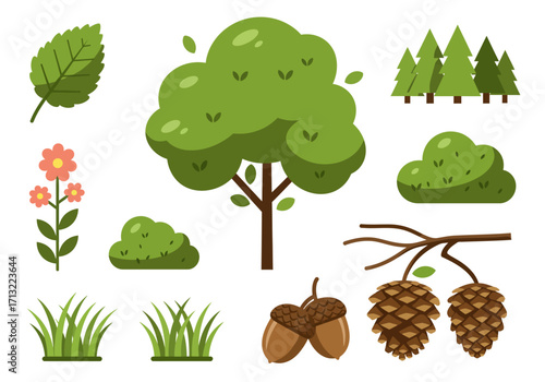 Illustration of forest elements tree pine cones grass bush flower leaf acorn