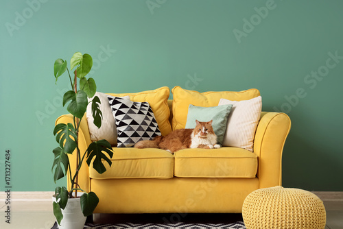 Cute fluffy cat with pillows lying on yellow sofa at home
