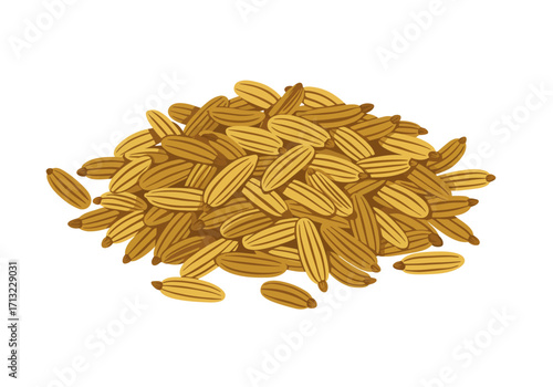 A pile of brown fennel seeds each with dark lines running along their length set against a stark white background