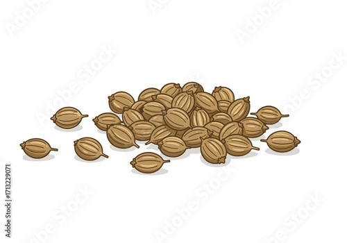 A pile of brown ribbed coriander seeds scattered on a white surface