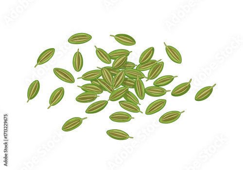 A scattering of green fennel seeds elongated with darker internal markings on a white background