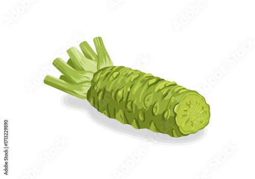 An illustration of a sectioned green wasabi root with stalks on a white background