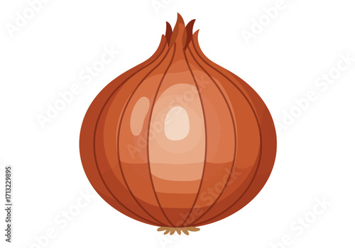 An illustration presents an onion with a tan color and vertical lines