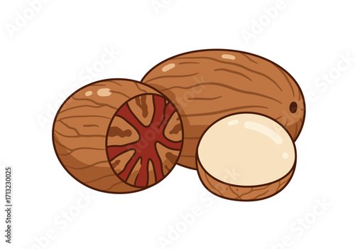 Cartoon nutmegs one whole one halved revealing the nut and one halved kernel on a white background