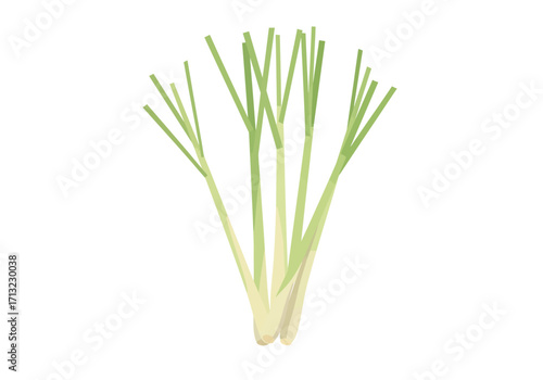 Bunch of pale green lemongrass stalks with slender leaves