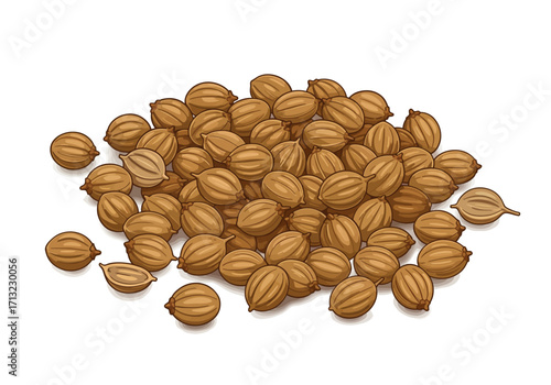 Clustered brown coriander seeds with grooved textures some halved or isolated