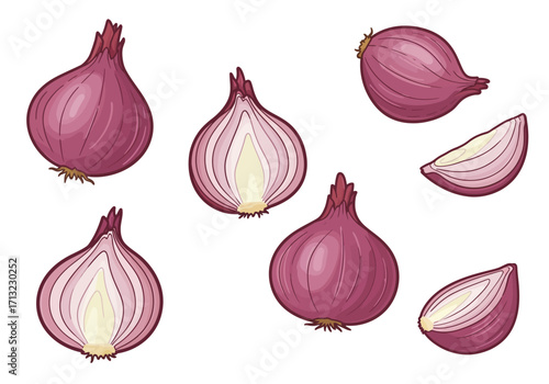 Graphic red onions whole and cut in various orientations