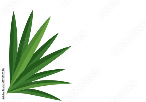 Green grass leaves cluster in a corner digitally rendered on a white background