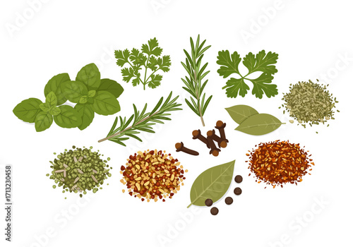 Herbs and spices arranged on a white background