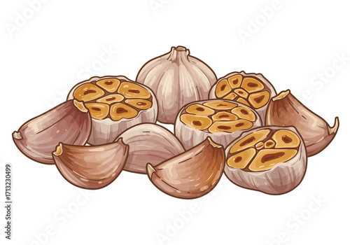 Illustration of garlic cloves and bulbs some cut to expose inner segments
