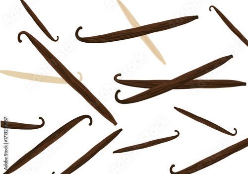 Scattered vanilla beans in a pattern against a white background