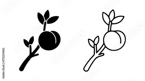 Peach on a branch icon set solid and outline.