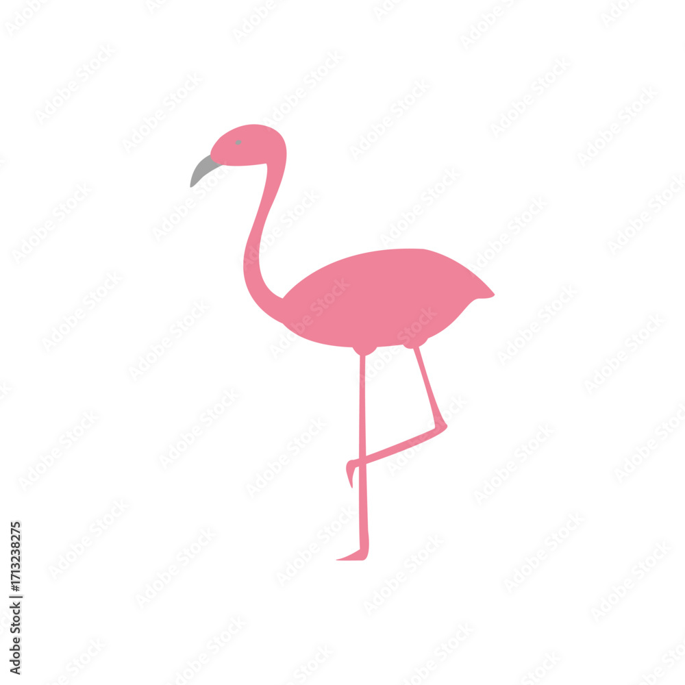 Fototapeta premium Pink flamingo standing on one leg isolated on white background illustration