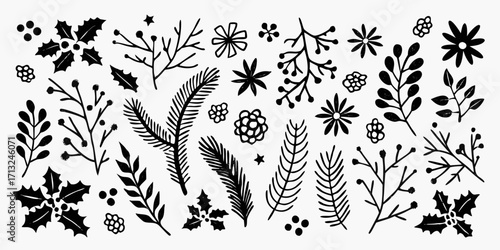 Collection of hand drawn black christmas botanical elements and winter foliage on white background