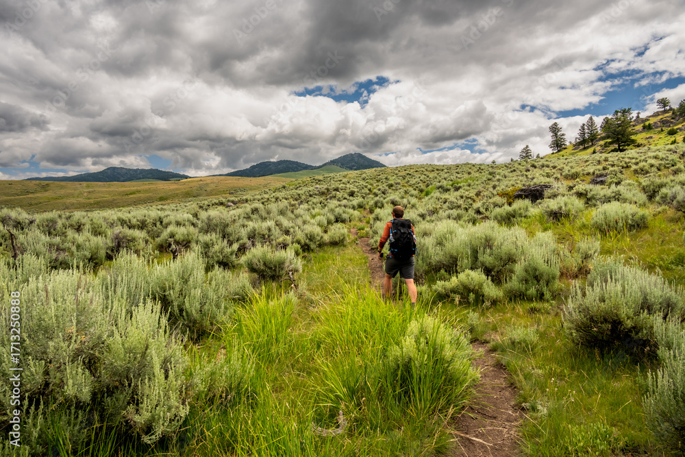 Obraz premium Backpacker Begins To Climb Sage Covered HIll Side in Yellowstone National Park