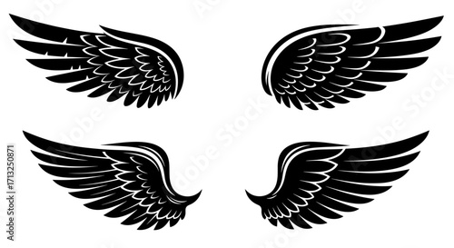 Four stylized wings arranged in pairs with detailed feather designs on a white plane view