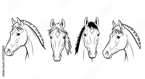 Four horse heads illustration with detailed line work showcasing equine features and distinct manes
