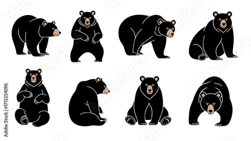 Adorable Black Bear Characters Poses Cute Woodland Animal Art Isolated on Transparent Background