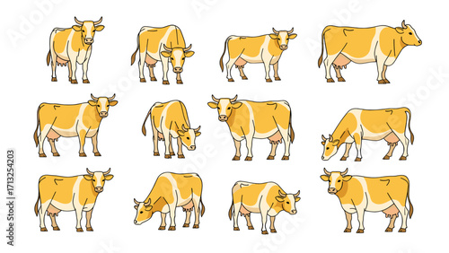 Collection of Diverse Farm Animal Cow Poses and Actions Isolated on Transparent Background for Livestock Illustration