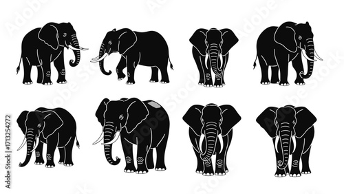 Majestic African Elephant Silhouettes Showcasing Different Poses Isolated on Transparent Background