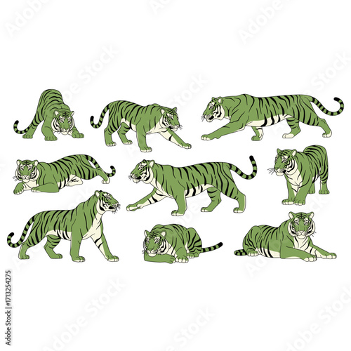 Collection of green tigers in various dynamic poses isolated on transparent background illustration