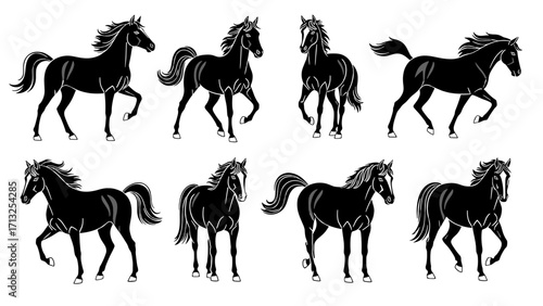 Majestic Stallion Collection Elegant Horse Poses Dynamic Movement Isolated on Transparent Background Vector Art