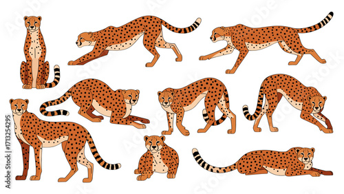 Dynamic Cheetah Poses Collection Isolated On Transparent Background For Wildlife Art And Design Projects