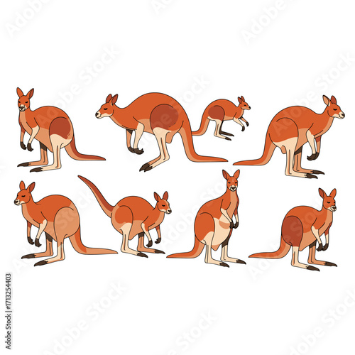 Various Kangaroo Poses Depicting Wild Australian Marsupial Wildlife Isolated on Transparent Background