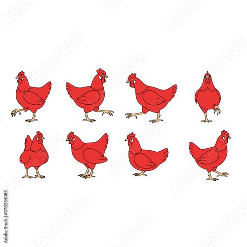 Eight Red Chicken Illustrations Showcasing Various Poses Isolated on Transparent Background