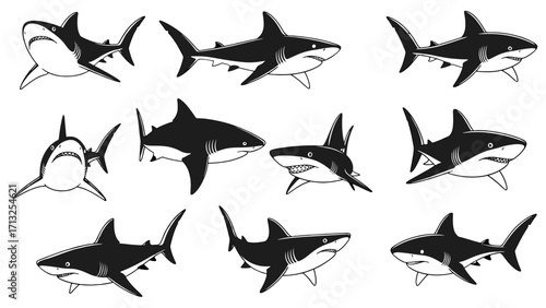Set of twelve shark silhouettes in various predatory poses isolated on transparent background