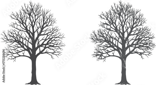 Bare tree silhouette, leafless winter tree, black and white tree illustration, seasonal nature design, vector art, autumn or winter season, graphic element