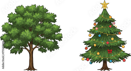 Green tree and decorated Christmas tree, festive holiday illustration, nature and winter celebration, seasonal design, vector art, cartoon style, evergreen tree