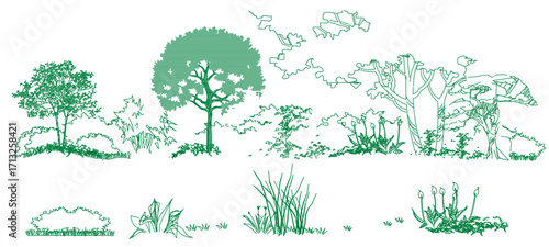 front View Vector Icons of Trees and Plants for Floor Plan and Architectural Design Projects	