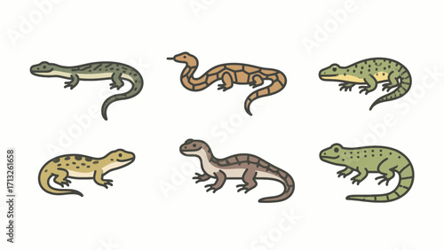 Diverse group of lizards illustration featuring various colors and pattern designs