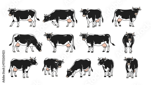 Diverse Black Cow Poses Expressing Calmness and Grazing Behavior Isolated on Transparent Background