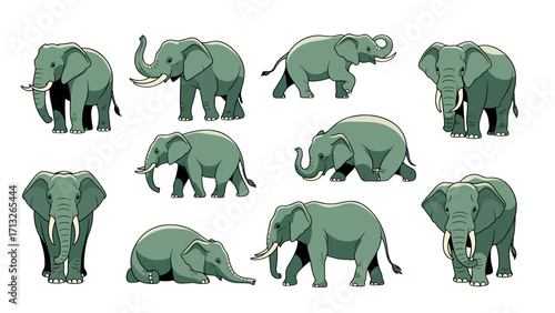 Majestic African Elephants in Various Poses Isolated on Transparent Background for Wildlife Art
