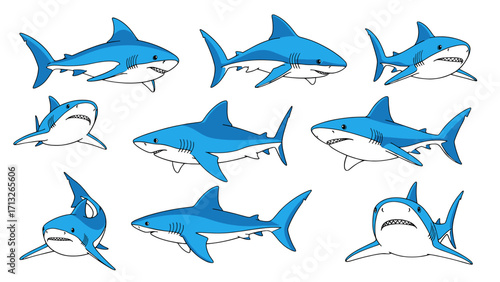 Ocean Predator Shark Action Poses Dynamic Marine Life Isolated on Transparent Background