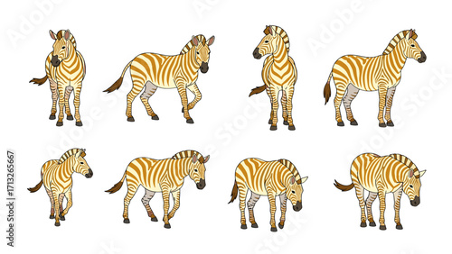 Playful Baby Zebra Running and Trotting Standing Isolated on Transparent Background