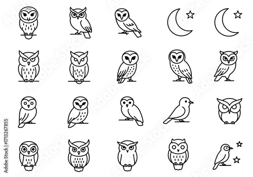 Owl illustrations and moon graphics on a white background
