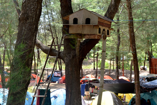 bird house on a tree
