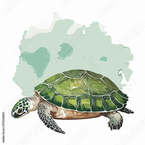  turtle graphite sketch with mint green watercolor wash for playful wildlife art