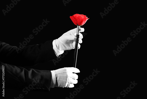 Bild auf Leinwand Male magician's hands with flower on black background