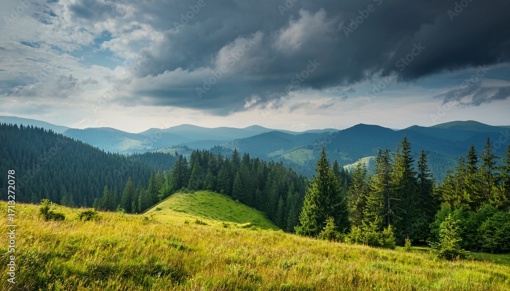 Obraz premium Countryside Landscape With Overcast Sky In Summer Forest On The Grassy Hill Cloudy Weather Forecast Remote Rural Scenery In Carpathian Mountains