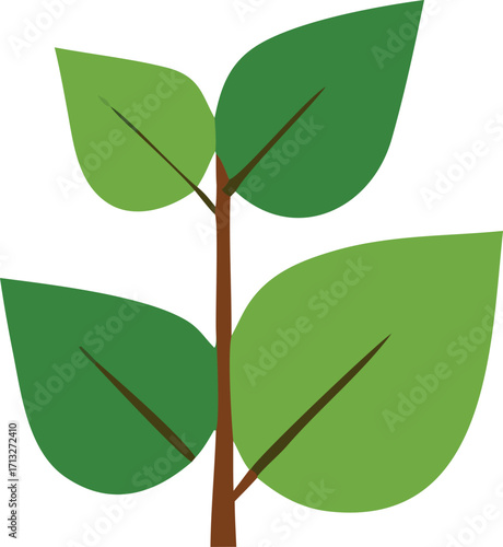 Simple green plant with broad leaves growing upwards symbolizing growth nature life and new beginnings ideal for ecology