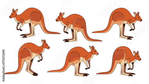 Cute Kangaroo Poses Wildlife Animal Native Australian Hopping Jumping Standing Isolated Transparent Background