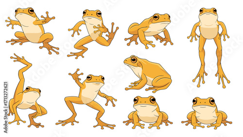 Cute Orange Frogs in Diverse Playful Poses Isolated on Transparent Background