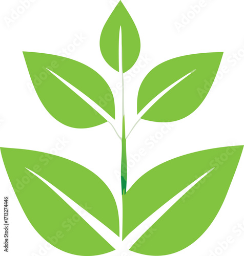 Vibrant green sprout symbolizing growth renewal life organic nature freshness natural ecology wellness healthy living