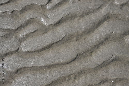 Abstract Grey sandy texture beach wet muddy